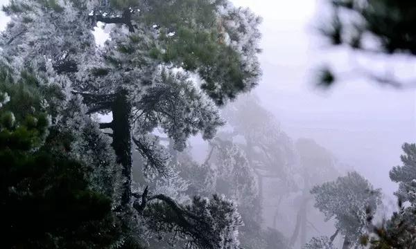 火箭传奇2