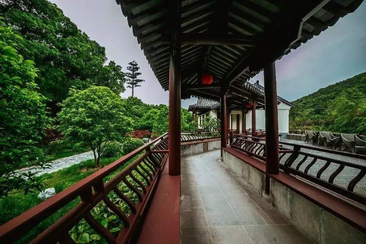 救援花栗鼠