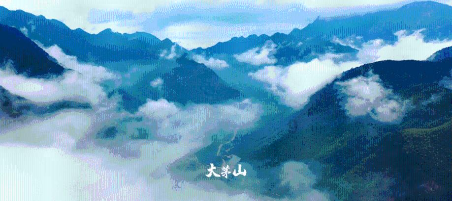 属龙的人,本命年的大忌,你知道吗?