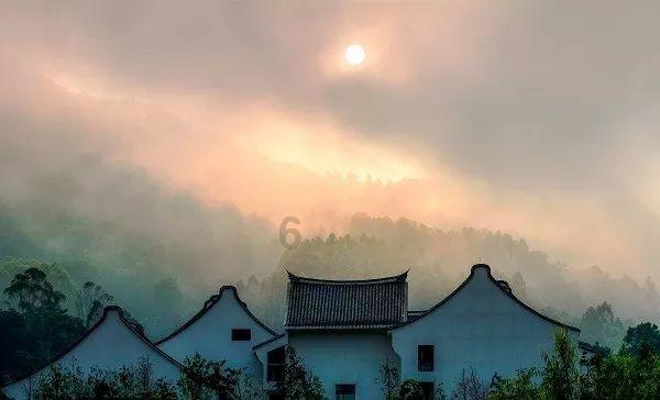 救援蝙蝠