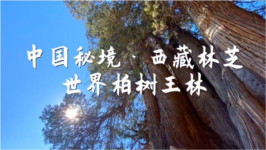 Ryse罗马之子